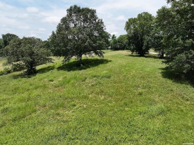 /international/us/riverview-drive-lot-3-4-glenwood-ar-110104151317/