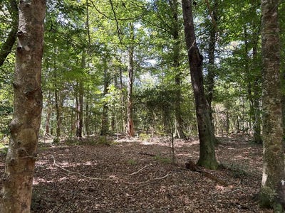 /international/us/tbd-river-road-north-summit-ms-110101221506/?lang=en