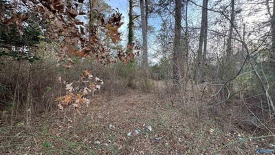 /international/us/rainbow-city-al-110104581714/