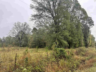 /international/us/tbd-grant-county-4-leola-ar-110091599921/