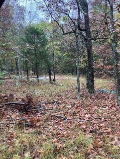 /international/us/163-madison-cr-410-fredericktown-mo-110098936673/
