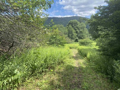 /international/us/sunset-mountain-village-drive-lot-135-slaty-fork-wv-110101426845/