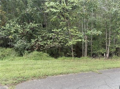 /international/us/7347-sun-harbor-drive-browns-summit-nc-110102781758/
