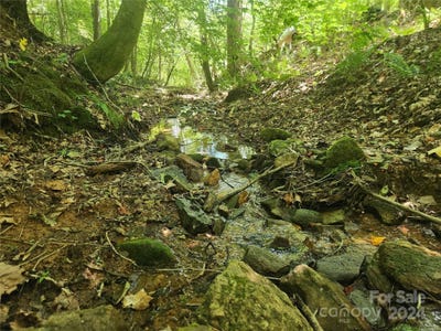 /international/us/1762-russell-gap-road-moravian-falls-nc-110093158447/?lang=fr