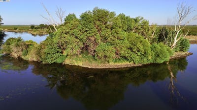 /international/us/goldrift-island-byron-ca-110102620503/