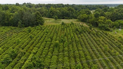 /international/us/5563-baseline-rd-grand-junction-mi-110109061244/