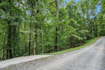 /international/us/lot-72-huron-circle-ellijay-ga-110101399028/