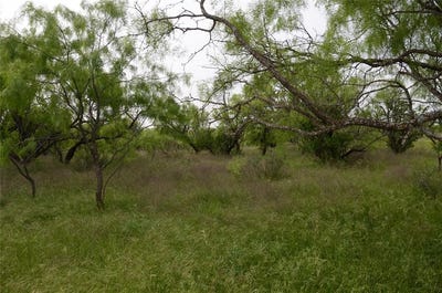 /international/us/tbd-cr-112-clyde-tx-110099795779/