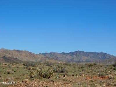 /international/us/213-gateway-acres-golden-valley-az-110120630262/