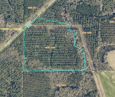 /international/us/u-s-hwy-319-n-moultrie-ga-110109001238/
