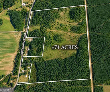 /international/us/strickland-road-lake-park-ga-110120017331/