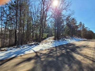 /international/us/bald-eagle-drive-trego-wi-110107229140/