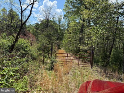 /international/us/doe-garden-drive-lot-86-87-88-89-yellow-spring-wv-110108222391/