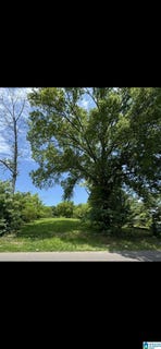 /international/us/116-21st-avenue-lot-37-center-point-al-110108065758/