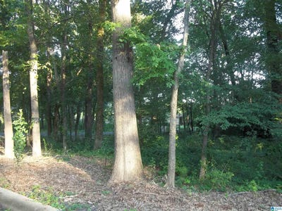 /international/us/5715-camden-avenue-birmingham-al-110101020874/