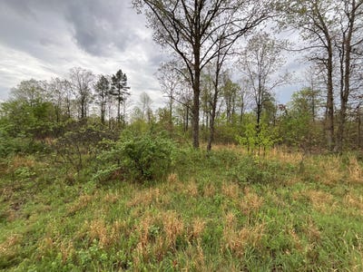 /international/us/lake-way-lot-9-winona-mo-110107256576/