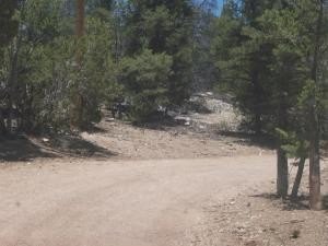 /international/us/county-rd-b-52-lot-two-b-2-pecos-nm-110093640052/
