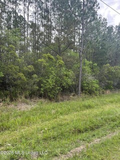 /international/us/leetown-road-lot-2-picayune-ms-110107781085/