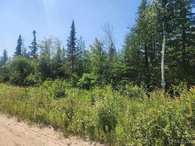 /international/us/80-acres-cr-415-mcmillan-mi-110101100313/?lang=zh-tw