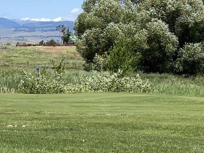 /international/us/tbd-fairway-drive-c7-council-id-110100069858/