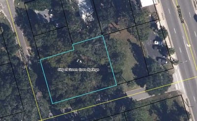 /international/us/314-palmetto-ave-green-cove-springs-fl-110101151094/?lang=zh-tw