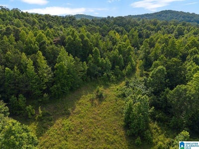 /international/us/lot-1-highway-75-oneonta-al-110100266285/?lang=zh-tw