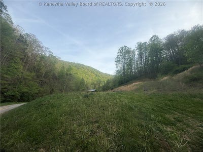 /international/us/1971-jarrell-s-branch-road-madison-wv-110108100278/