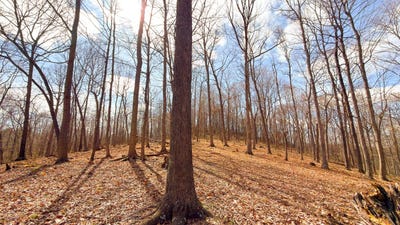 /international/us/millers-run-back-run-road-lucasville-oh-110106934207/