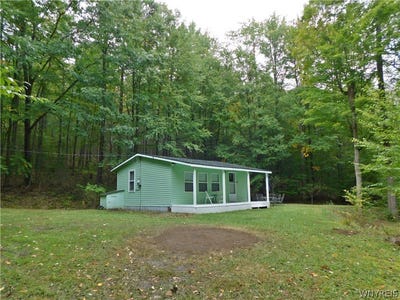 /international/us/9152-lyman-road-cuba-ny-110110350746/