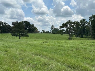 /international/us/00-slade-woodward-rd-poplarville-ms-110101366115/