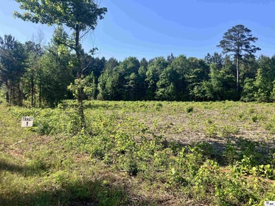 /international/us/9014-lot-1-highway-80-simsboro-la-110108687240/