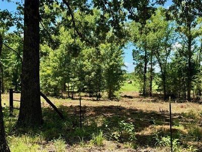 /international/us/tbd-county-road-4230-mount-pleasant-tx-110093076753/