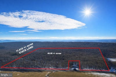 /international/us/49-08-acres-maryland-highway-swanton-md-110105901175/