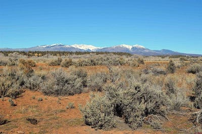 /international/us/mesa-lane-lot-2-hesperus-co-110104968562/
