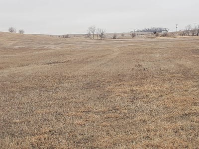 /international/us/868-rd-belden-ne-110105340764/