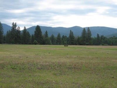 /international/us/2980-hwy-83-n-seeley-lake-mt-110106771897/