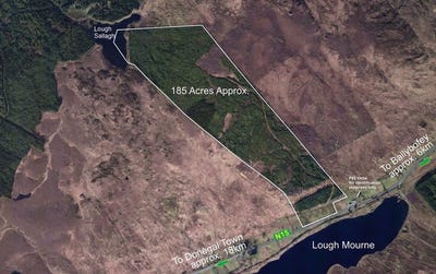 /international/ie/185-acres-of-afforested-land-cashelnavean-dlbofey-ballybofey-donegal-210109670487/