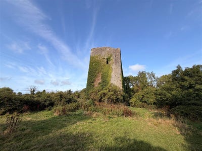 /international/ie/ballygriffey-castle-ruins-onn-0-7ha-folio-ce3481f-ballygriffey-south-ruan-clare-210109950526/