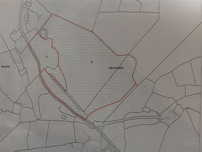 /international/ie/kelshabeg-kiltegan-wicklow-210109669831/