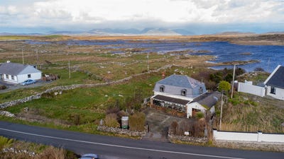 /international/ie/calla-roundstone-ballyconneely-kilkenny-210109685696/