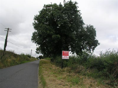 /international/ie/grantstown-ballacolla-abbeyleix-laois-210109670755/