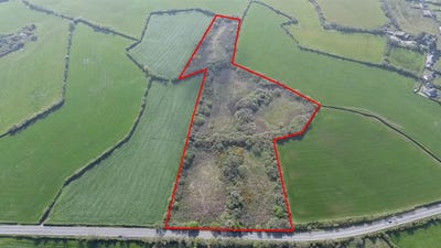/international/ie/scarnagh-lower-coolgreaney-gorey-wexford-210109669749/