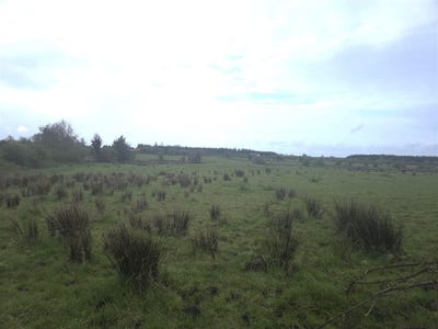 /international/ie/eskreagh-tubbercurry-sligo-210109671000/