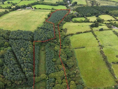 /international/ie/cappadrummin-killusty-fethard-wexford-210109677027/