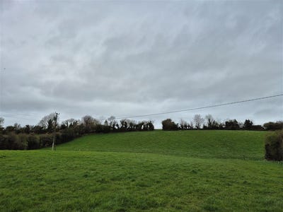 /international/ie/ballytrasna-killanny-carrickmacross-monaghan-210109674619/