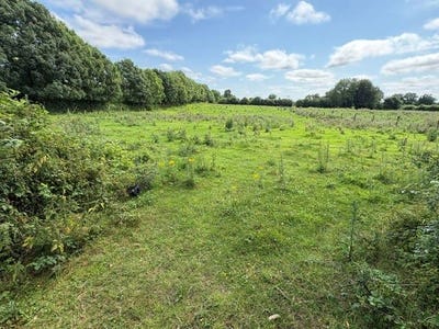 /international/ie/hightown-coralstown-kinnegad-westmeath-210109669776/