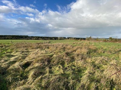 /international/ie/boolyglas-hugginstown-kilkenny-210109671179/