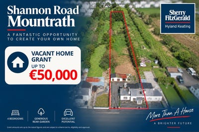 /international/ie/shannon-road-mountrath-laois-210119784729/