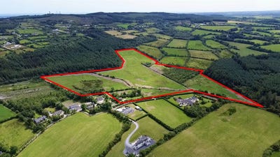 /international/ie/rowestown-barntown-wexford-wexford-210109669990/