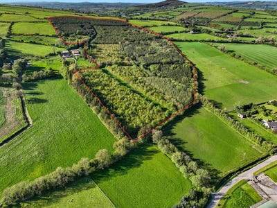 /international/ie/carraigeen-baltinglass-wicklow-210109670705/